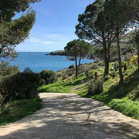 T2 Les Pieds Dans L Eau Cerbère